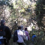 Listening to the Land: Cape Schanck